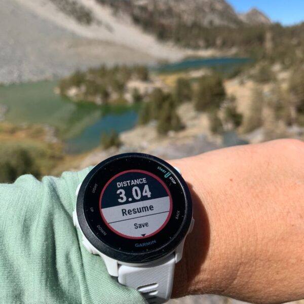 Garmin Forerunner 55 OR £135 CASH! - Image 2